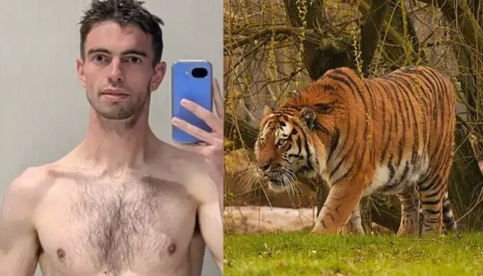 Family of Man Killed by Tiger at Yorkshire Wildlife Park Reveals Long-Term Mental Illness