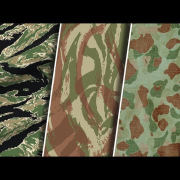 Now you see them... now you don’t?: The evolution of camouflage