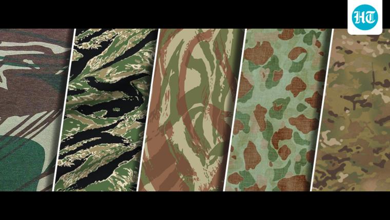 Now you see them... now you don’t?: The evolution of camouflage