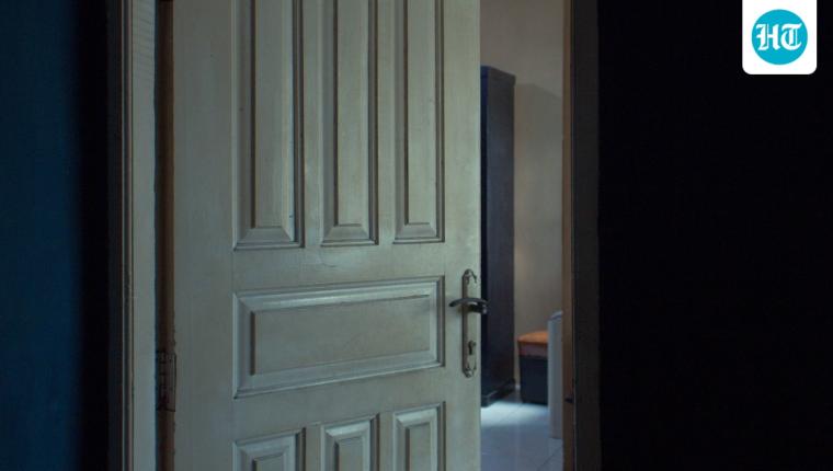 Everyday Explained: Why Your Door Has That Little Metal Plate