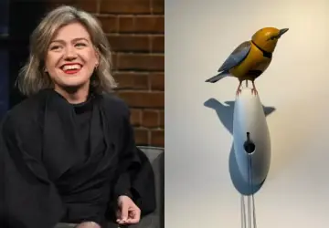 Kelly Clarkson's Dispute With Brooklyn Store Art of Play Sends Singing Bird Price to USD 15 Million