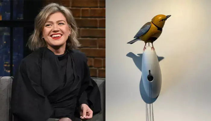 Kelly Clarkson's Dispute With Brooklyn Store Art of Play Sends Singing Bird Price to USD 15 Million