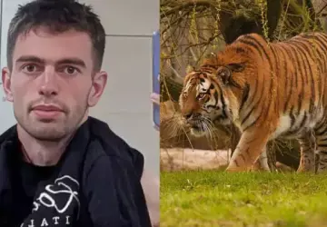 Childhood Photo of William Chapman Surfaces After Tiger Attack at Yorkshire Zoo