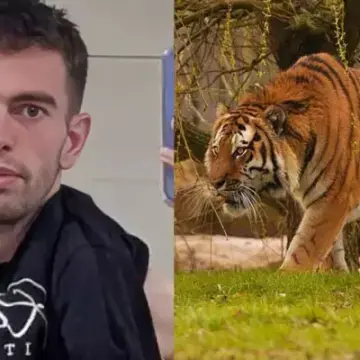 Childhood Photo of William Chapman Surfaces After Tiger Attack at Yorkshire Zoo