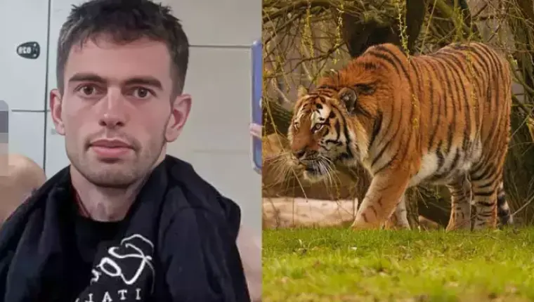 Childhood Photo of William Chapman Surfaces After Tiger Attack at Yorkshire Zoo