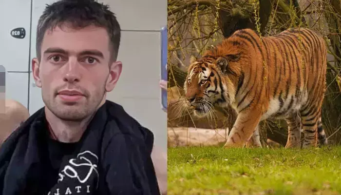 Childhood Photo of William Chapman Surfaces After Tiger Attack at Yorkshire Zoo