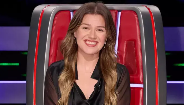 Kelly Clarkson Calls Out Brooklyn Toy Store Art of Play
