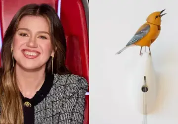 Kelly Clarkson Calls Out Brooklyn Store Art of Play Over Alleged Mistreatment