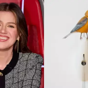 Kelly Clarkson Calls Out Brooklyn Store Art of Play Over Alleged Mistreatment