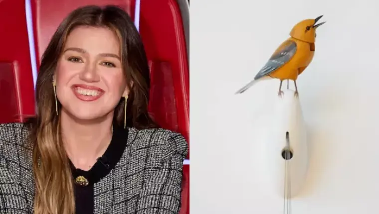 Kelly Clarkson Calls Out Brooklyn Store Art of Play Over Alleged Mistreatment