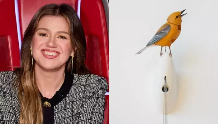 Kelly Clarkson Calls Out Brooklyn Store Art of Play Over Alleged Mistreatment
