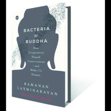 Read an Exclusive Excerpt From Ramanan Laxminarayan’s New Book