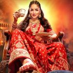 Nayyi Navelli Movie Review: An Interesting Premise Let Down by Weak Writing
