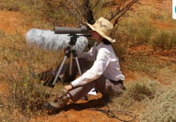 Award-Winning Scientist Julie Elie Discusses Decoding Bird Calls with Machine Learning