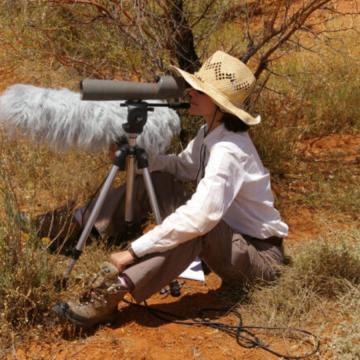 Award-Winning Scientist Julie Elie Discusses Decoding Bird Calls with Machine Learning