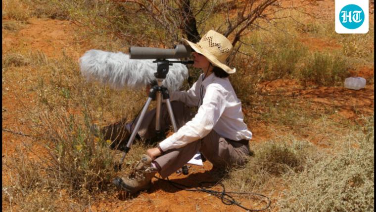 Award-Winning Scientist Julie Elie Discusses Decoding Bird Calls with Machine Learning