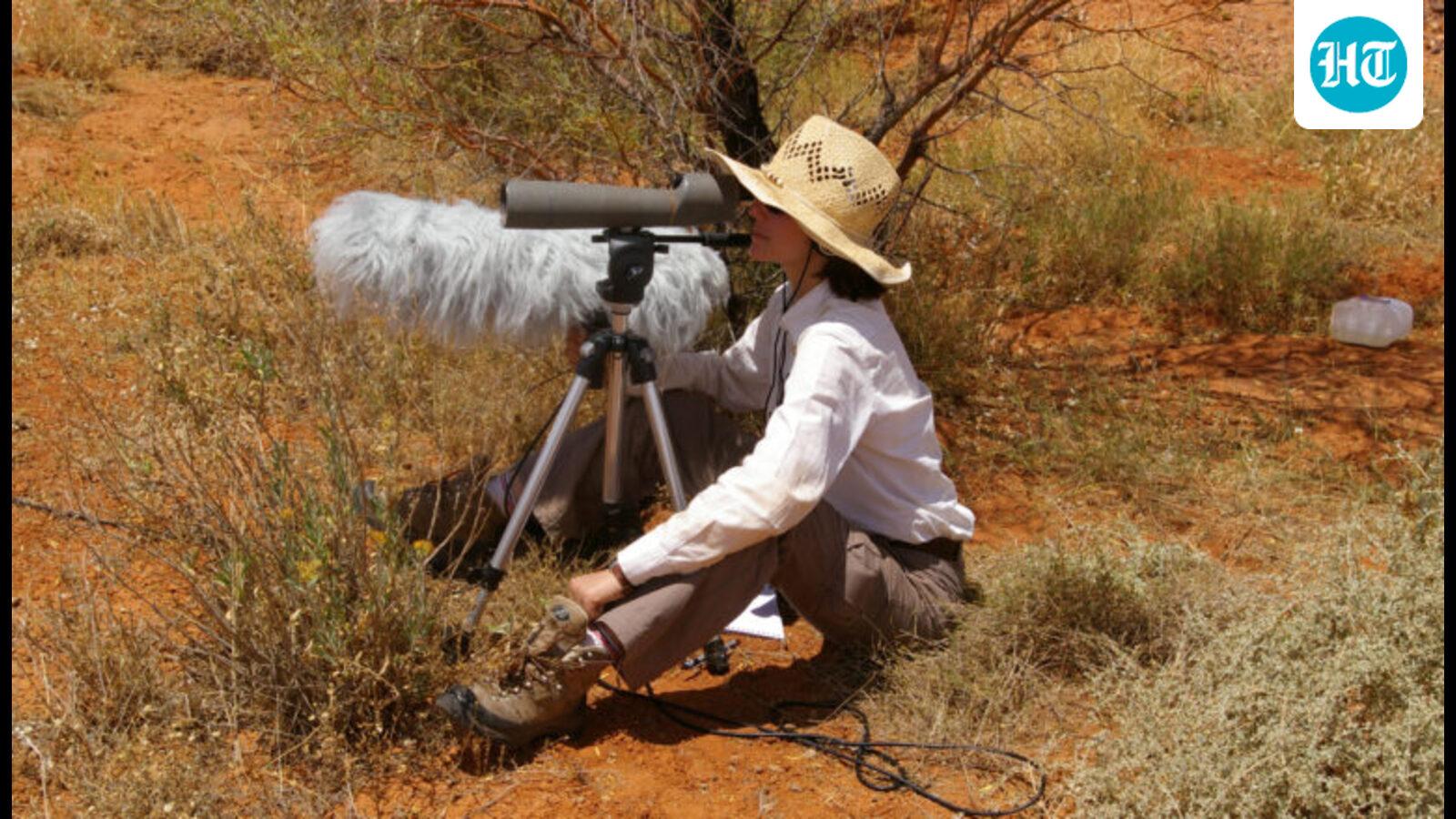 Award-Winning Scientist Julie Elie Discusses Decoding Bird Calls with Machine Learning