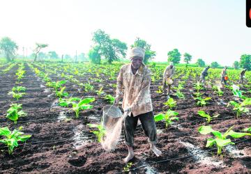 U-turn: The high cost of cheap urea