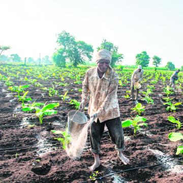 U-turn: The high cost of cheap urea