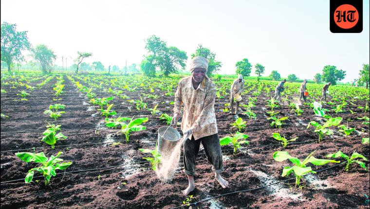 U-turn: The high cost of cheap urea