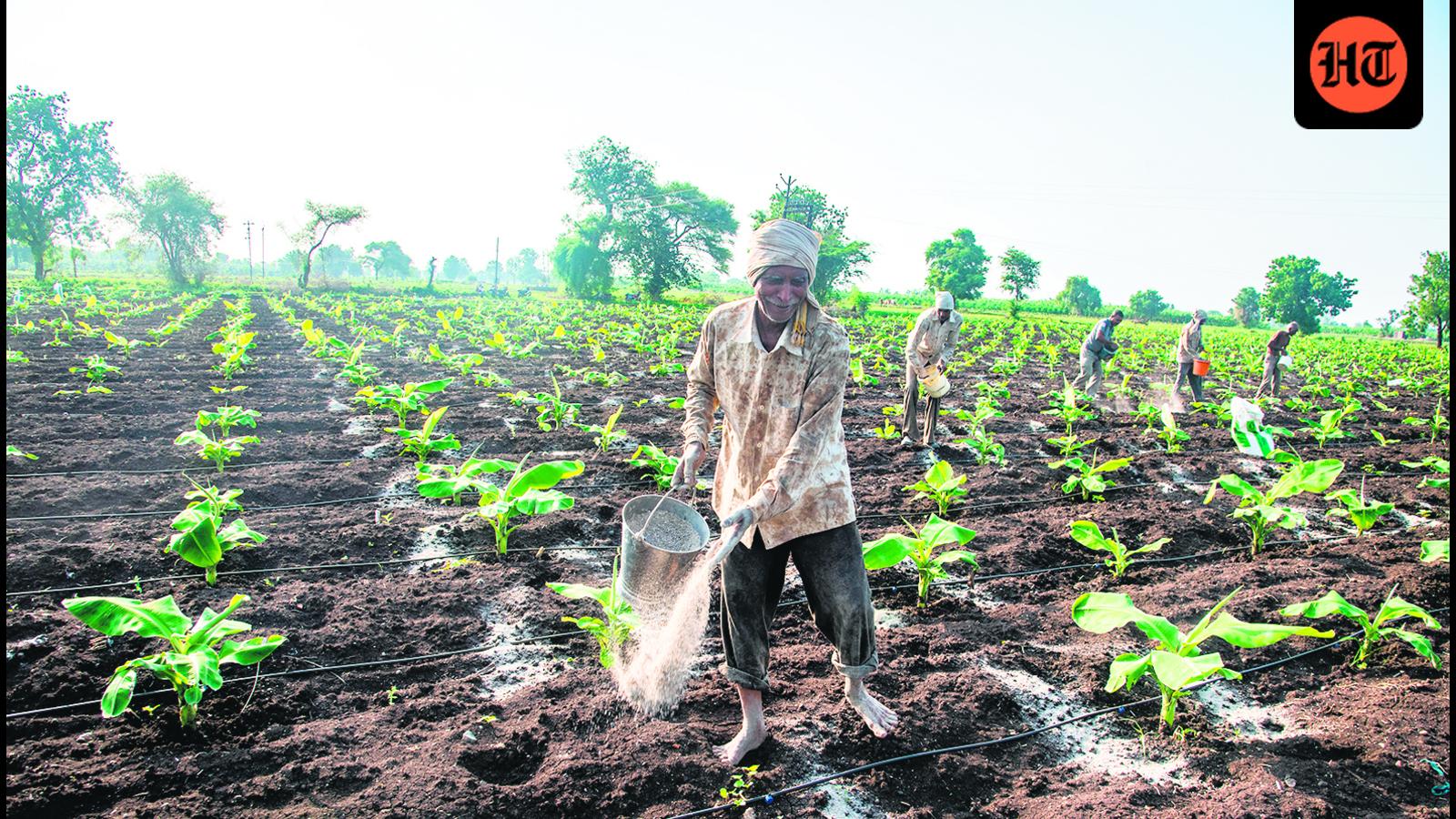 U-turn: The high cost of cheap urea