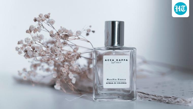 Are Expensive Perfumes Really Longer-Lasting? Expert Explains Fragrance Longevity