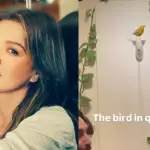 Brooklyn Store Art of Play Responds to Kelly Clarkson's Claims