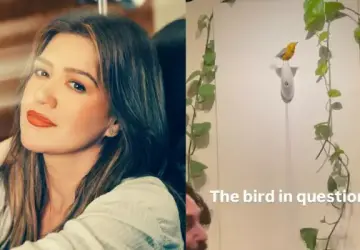 Brooklyn Store Art of Play Responds to Kelly Clarkson's Claims