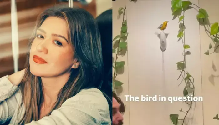 Brooklyn Store Art of Play Responds to Kelly Clarkson's Claims