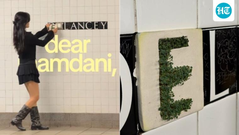 NYC Artist Replaces Missing Subway Tile with Chia Sprouts Art