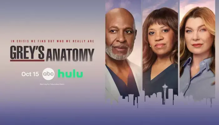 Grey's Anatomy Returns for Season 23 With New Chief of Surgery and Surprise Pregnancy